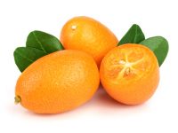 cala-kumquat-gin-notes-degustation-en-bouche-shutterstock-1011486382