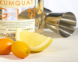 close-up-cocktail-cala-kumquat-gin-fizz