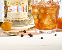 close-up-cocktail-cala-kumquat-gin-negroni-belge2