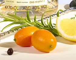 close-up-cocktail-cala-kumquat-gin-rosmarino-and-co