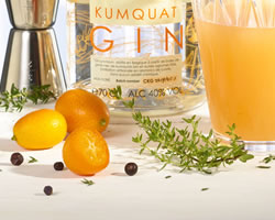 close-up-cocktail-cala-kumquat-gin-thym-d-ete2