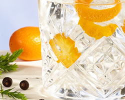 close-up-cocktail-cala-kumquat-gin-tonic2