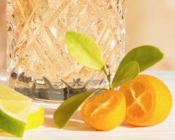 close-up-Cala-Kumquat-Bitter-Highball