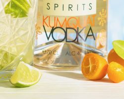 close-up-cocktail-Cala-Kumquat-Vodka-Caïpiroska