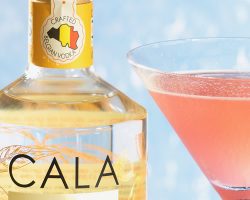 close-up-cocktail-Cala-Kumquat-vodka-Cosmopolitan