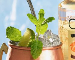 close-up-cocktail-Cala-Kumquat-vodka-Moscow-mule